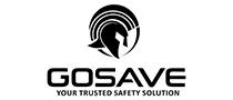 Gosave
